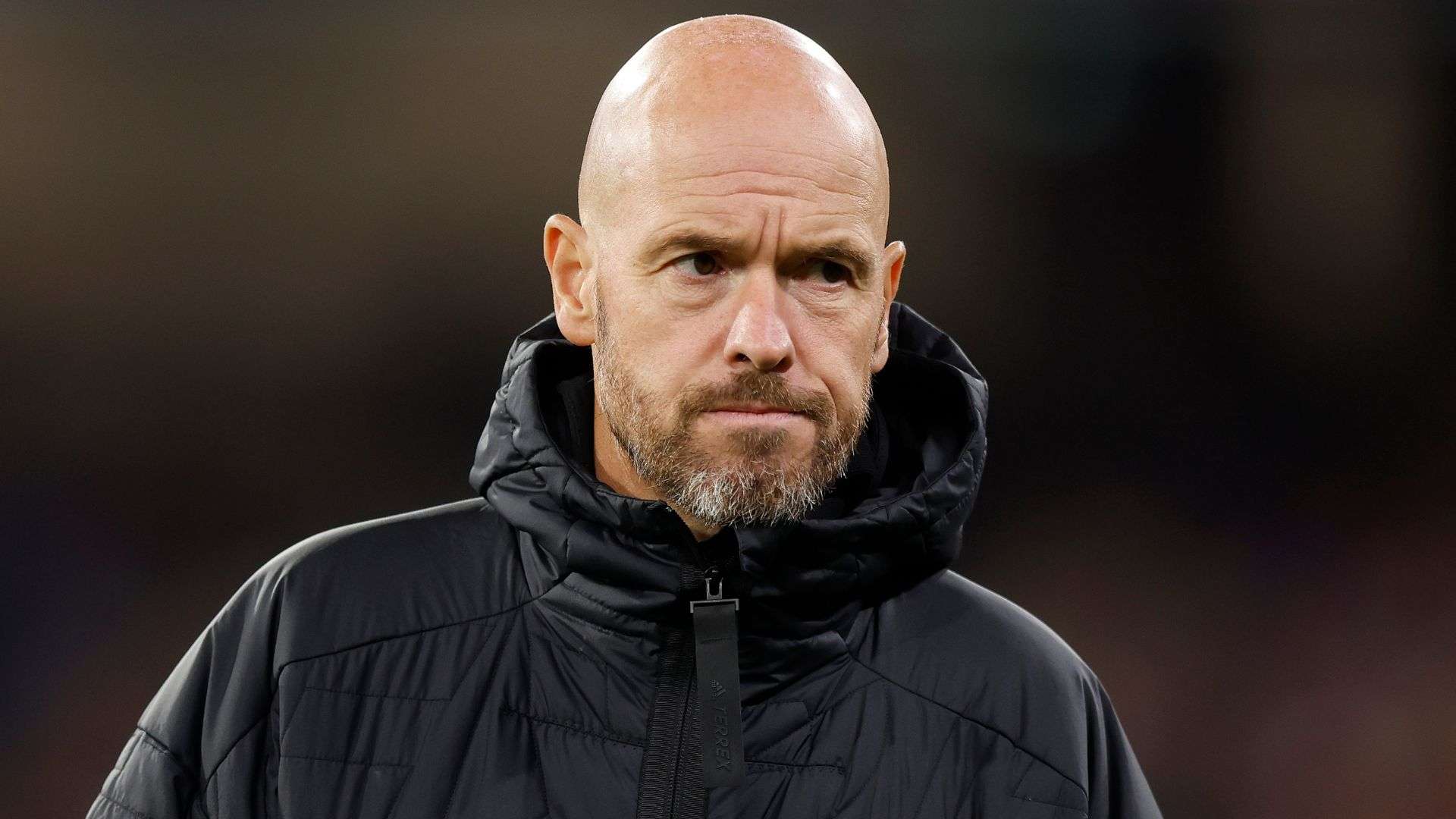 往往是团队 往往是团队